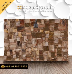 سنگ خارجی عقیق نیمه قیمتی پتریفاید وود Petrified Wood